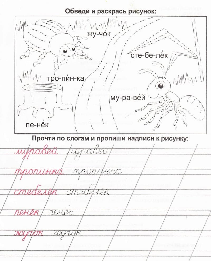 Прописи для дошкольников - скачать и распечатать